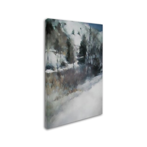 Jai Johnson 'Winter Impressions In Colorado 1' Canvas Art,30x47
